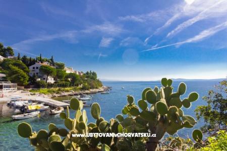 Apartmány ŠUKI foto 5