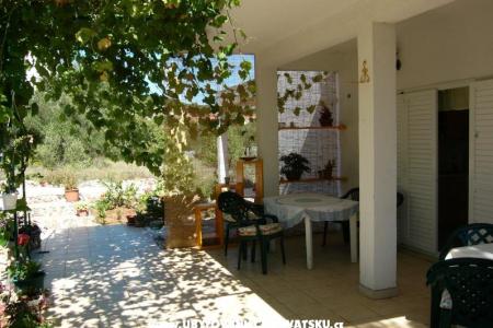 Maslinov dvor foto 3