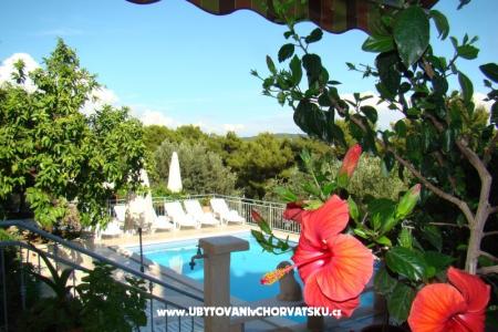 Apartmány Zgogo foto 4