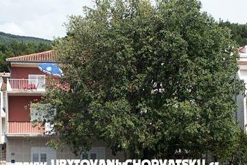 Apartmány Maja Sevelj foto 2