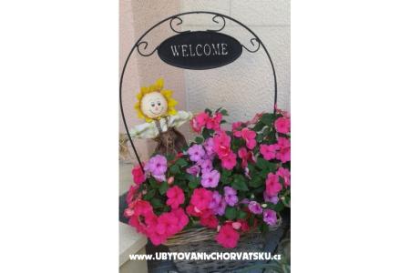 App Dragicevic -Villa Rossa 2 Tučepi Chorvátsko