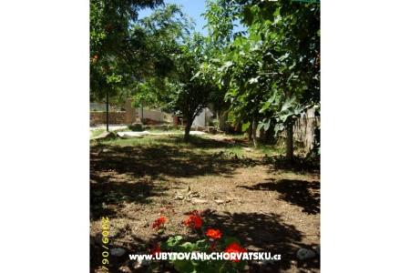 Prázdninový dom Villa Jadran foto 5