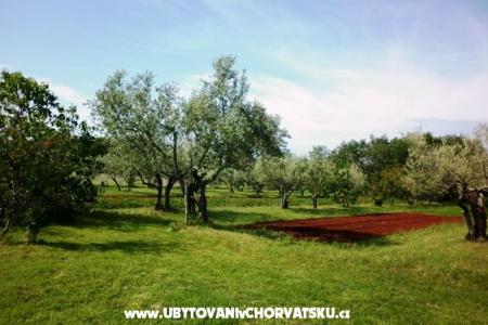 Apartmány Linda foto 3