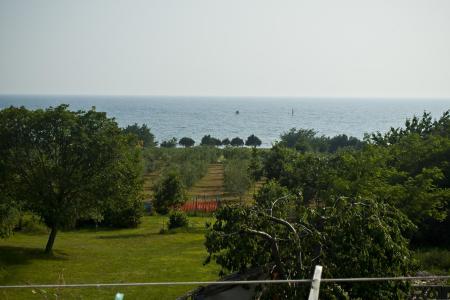 Apartmány Paradinovic foto 2