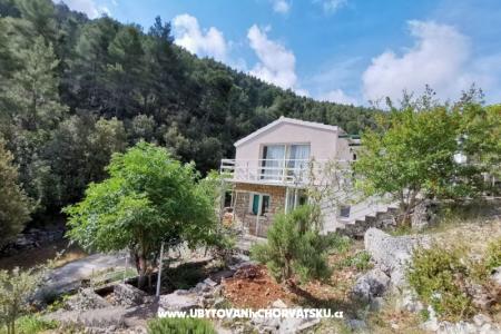 Tina's house  foto 3