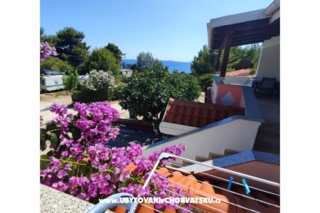 Apartmány Delfin ostrov Vir Chorvátsko