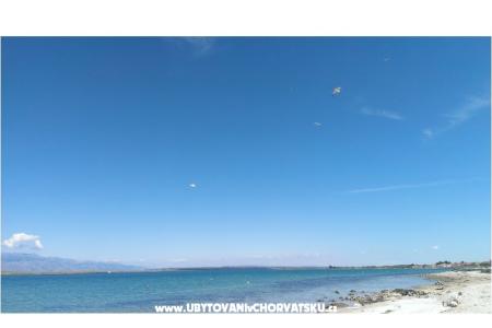 Apartmány Alma ostrov Vir Chorvátsko