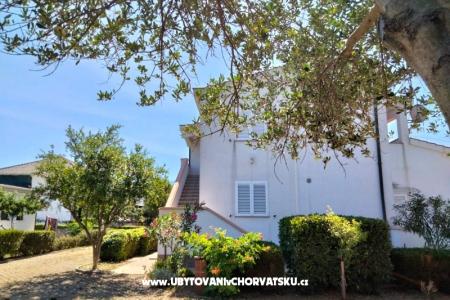 Apartmány Budija / Viola foto 2