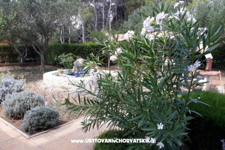 Apartmány Budija / Viola foto 5