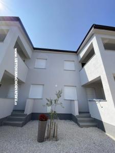 OLIVE RESIDENCE foto 4