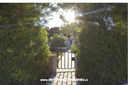 Apartmány latin foto 2