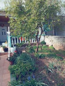 Apartmány Marijana Alaga foto 4