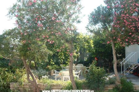 Apartmány 21 Vodice foto 2