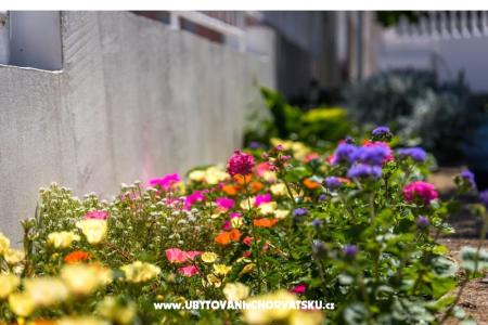 Apartmány Marko foto 2