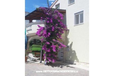 Apartmány  Vesna  foto 2
