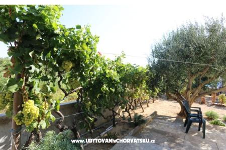 Apartmán Radobuljac Vrsi  foto 3