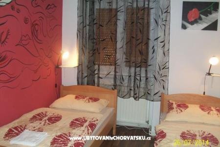 Chameleon hostel foto 4