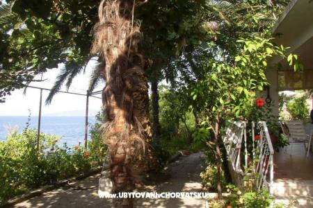 Apartmány Palma foto 3