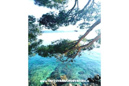 Apartmány Anita Jelaš Veža foto 3