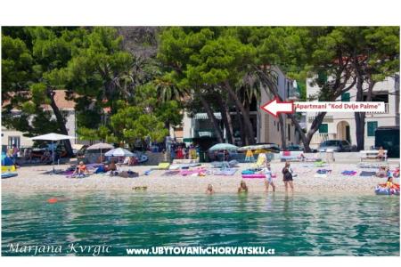 Apartmány u dvou palem Živogošče Chorvátsko