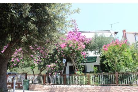 Apartmány Vila Filipovic foto 2