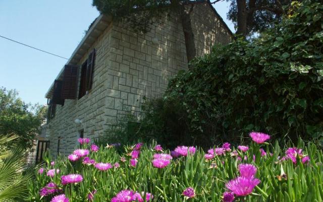 Villa Santa Lucia - ubytovanie ostrov Brač Chorvátsko