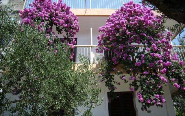 Apartmán Gradac Falak - ubytovanie Gradac – Podaca Chorvátsko