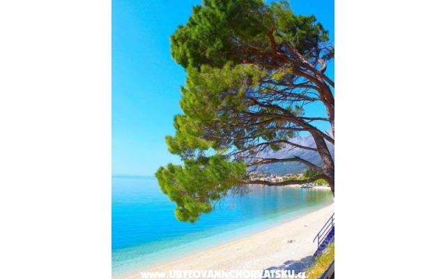 Apartmány Helena - ubytovanie Gradac – Podaca Chorvátsko