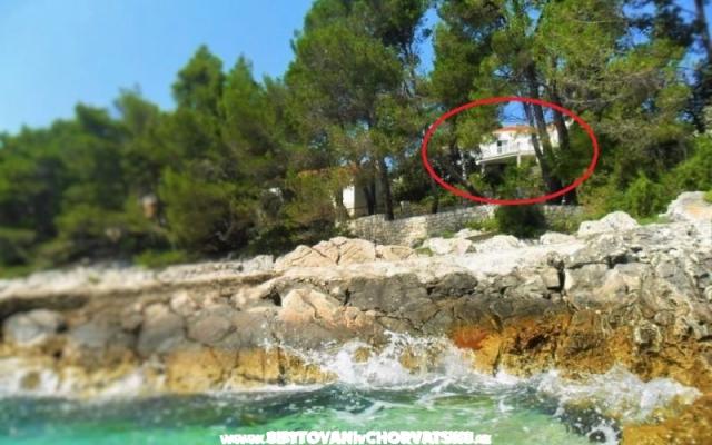 Apartmány Marica Pecotić  - ubytovanie Korčula Chorvátsko