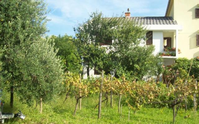 Apartmány Vasilić - ubytovanie ostrov Krk Chorvátsko