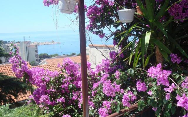 Apartmán Dobrinić - ubytovanie Makarska Chorvátsko