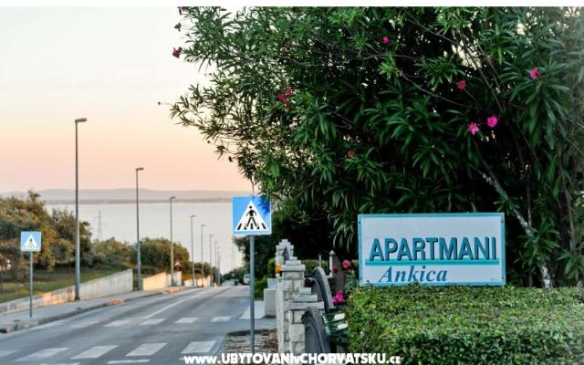 Apartmány Ankica - ubytovanie Petrčane Chorvátsko