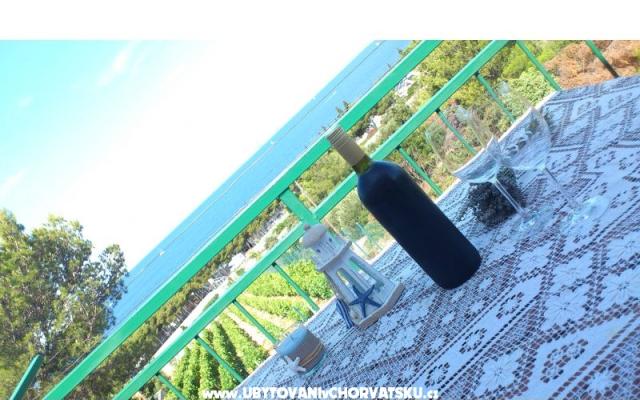 Apartmány vila Diana - ubytovanie Primošten Chorvátsko