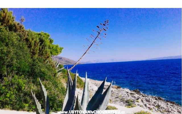 Goga Apartmány - ubytovanie Trogir Chorvátsko
