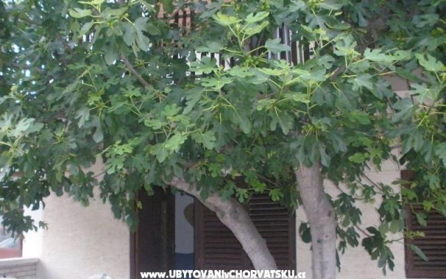 Apartmány  Smokva   - ubytovanie Vodice Chorvátsko