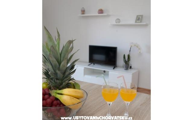 Apartmán "Roko" - ubytovanie Zadar Chorvátsko