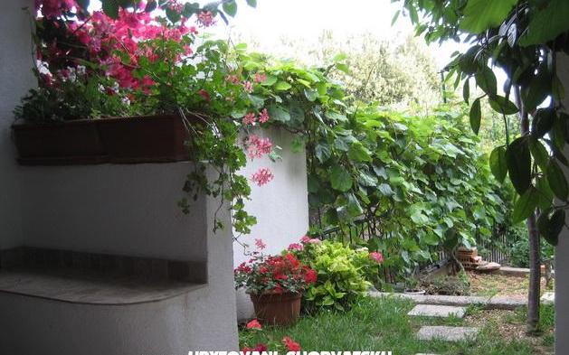 Apartmány Brajković - ubytovanie Živogošče Chorvátsko