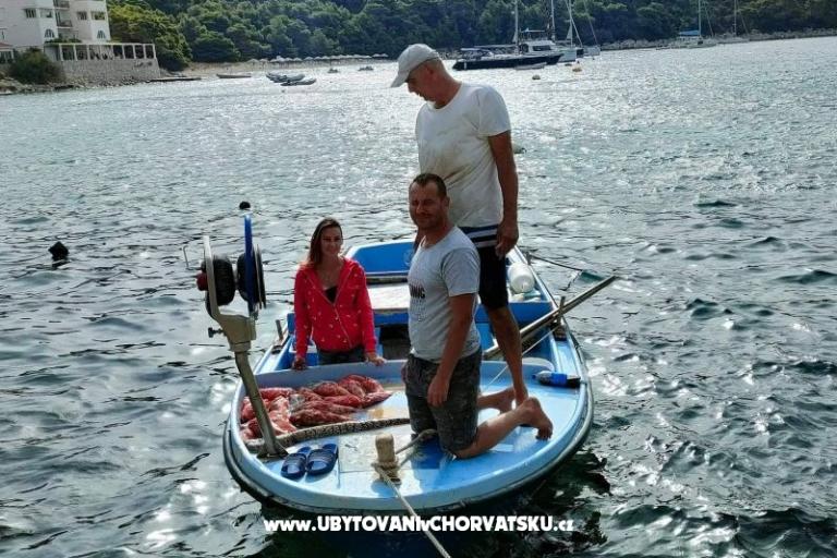 Apartmány Ivo Mljet – foto 5