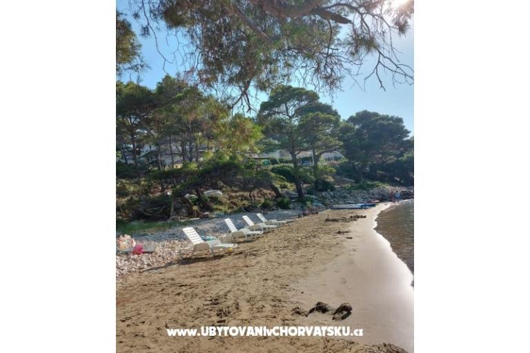 Apartmány Ivo Mljet – foto 8