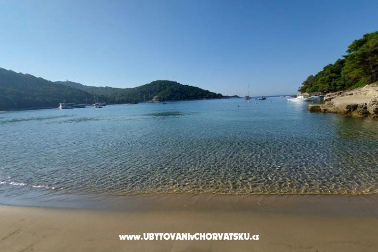 Apartmány Ivo Mljet – foto 9