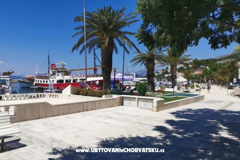 Apartmány Divić - Villa Mateo  – foto 23