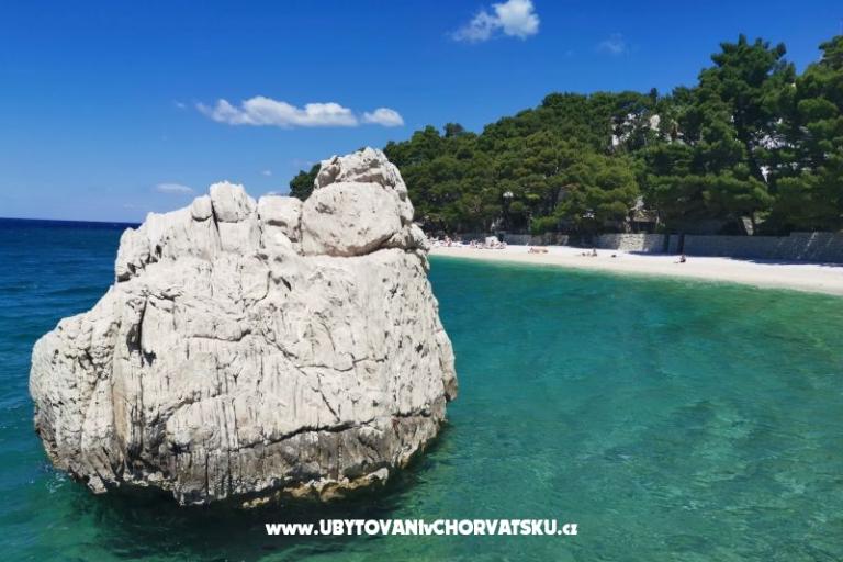 Apartmány Divić - Villa Mateo  – foto 32
