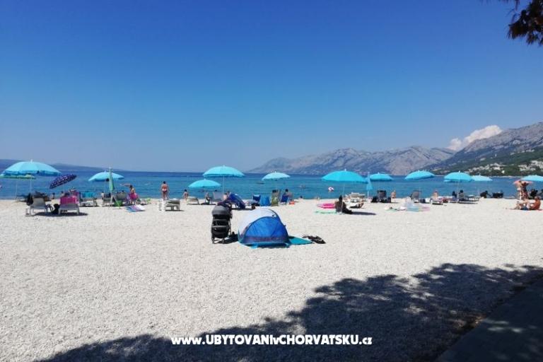 Apartmány Divić - Villa Mateo  – foto 40