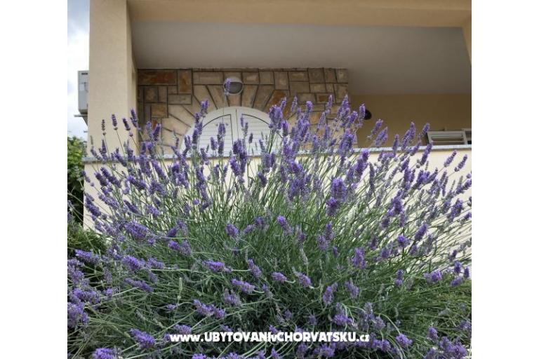 Apartmány Iva – foto 10