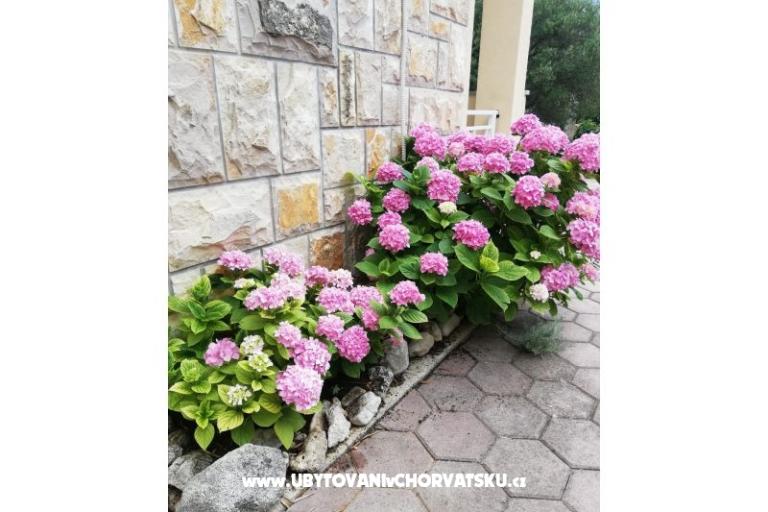 Apartmány Iva – foto 12