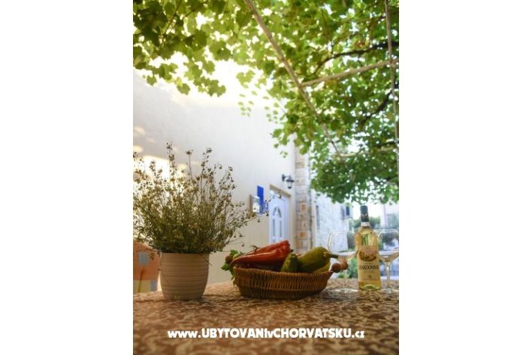 Apartmány Iva – foto 14