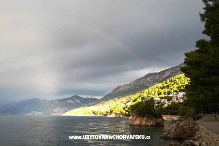 Apartmán Rose – foto 17