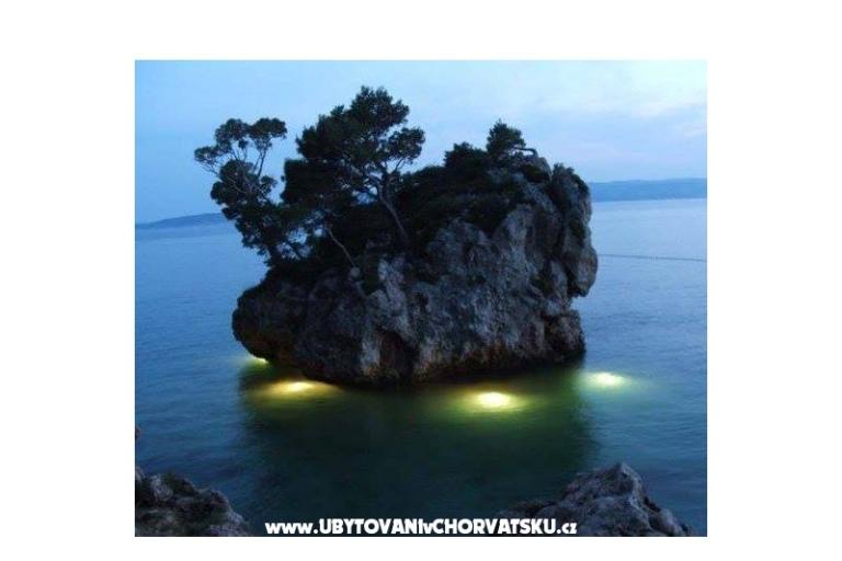 Apartmány Mimoza – foto 16