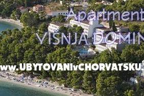 Apartmány Mimoza – foto 8