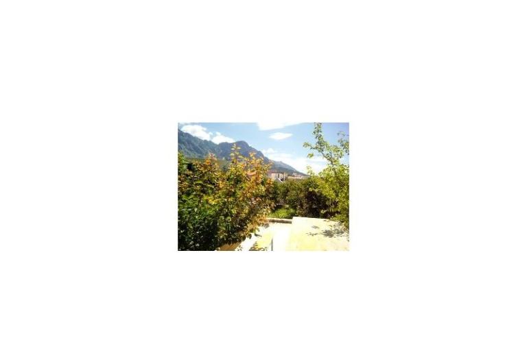 Elka – foto 14